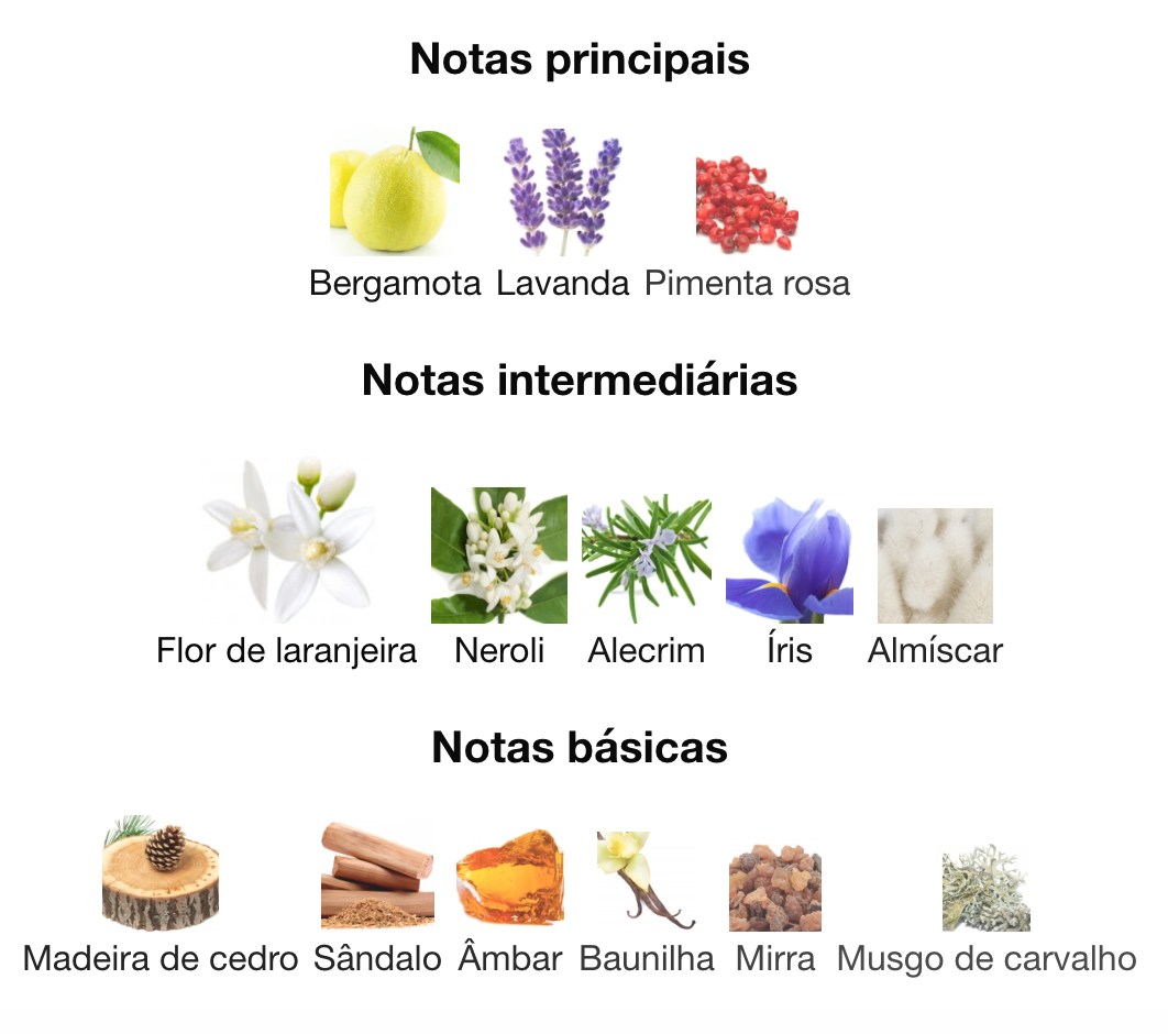 AROMATIX MAGNETIQ -Extrait de Parfum 100ml (French Avenue)