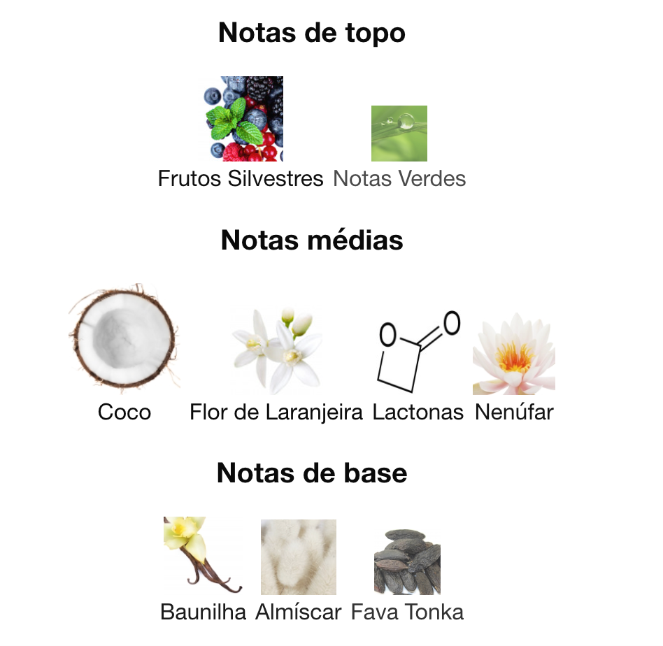 ISLAND BLISS - ARMAF