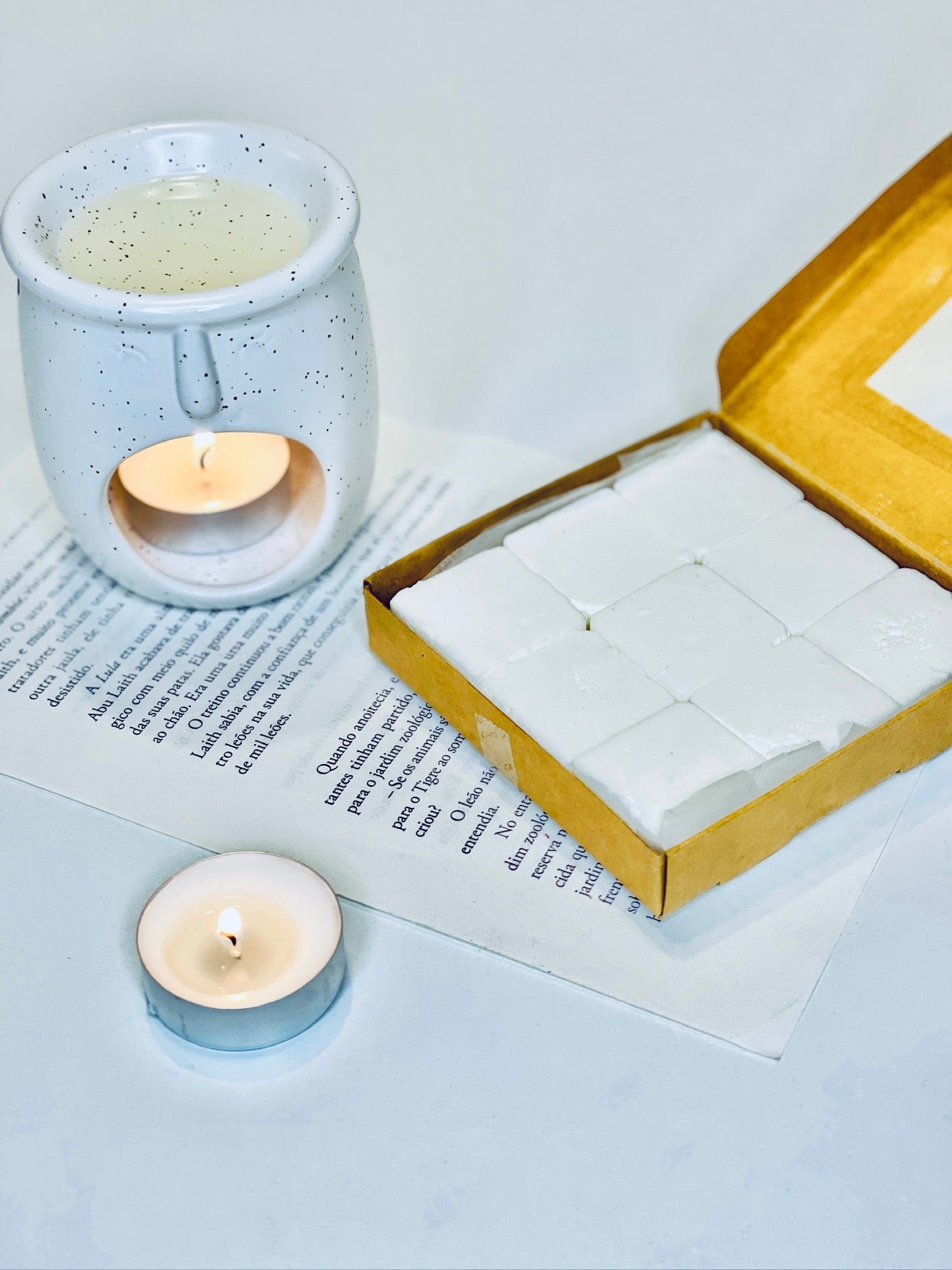 QUEIMADOR de Wax Melts (Cerâmico)