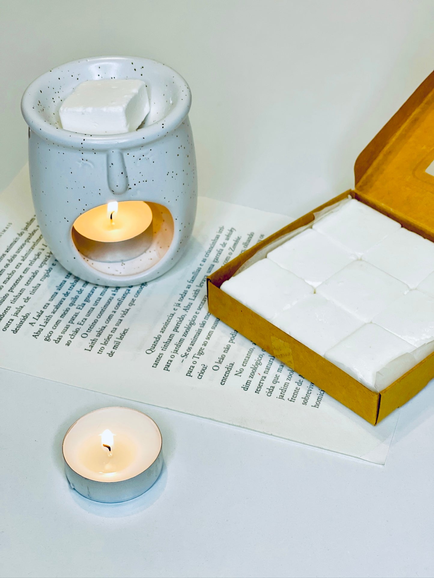 QUEIMADOR de Wax Melts (Cerâmico)