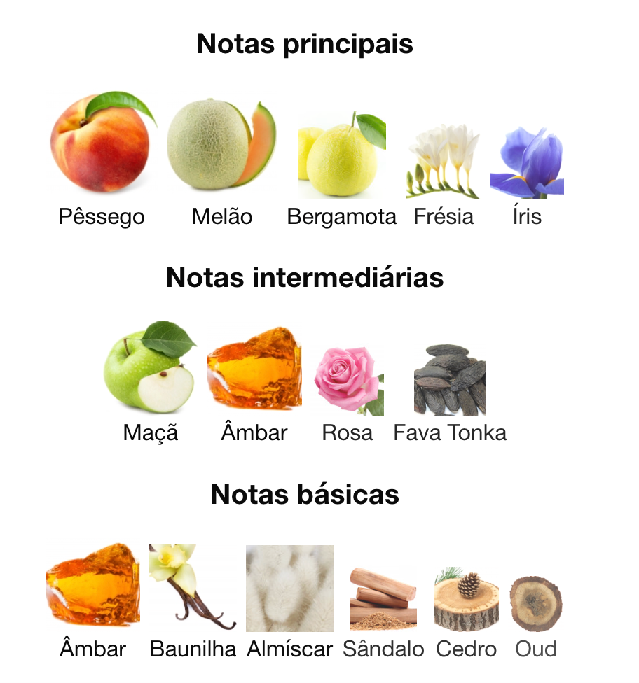 SHAGHAF OUD AHMAR - EDP 75ML - Swiss Arabian