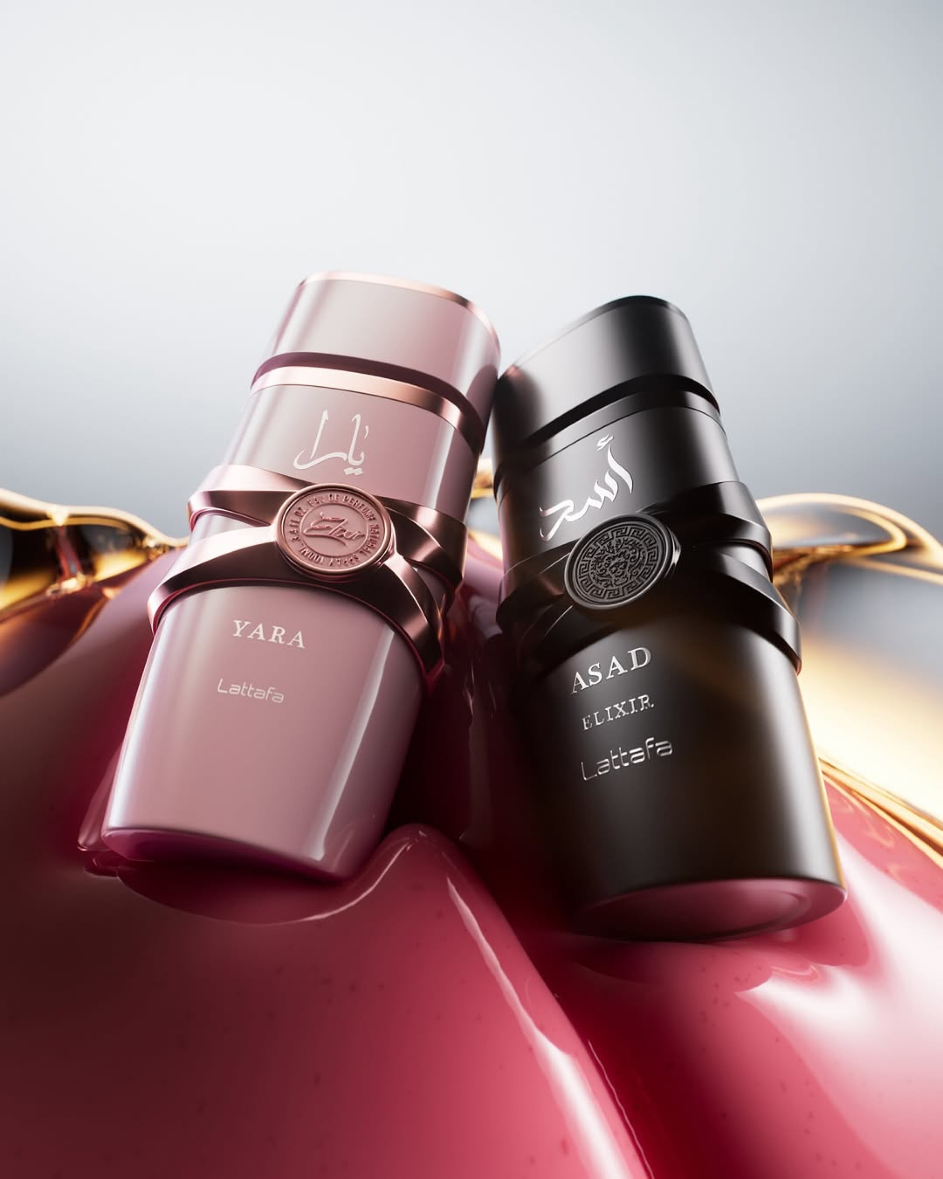 Carregar vídeo: Lançamento do Ano